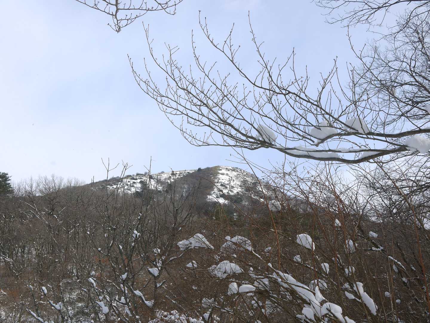 おーっ、山頂は天気良さそう？