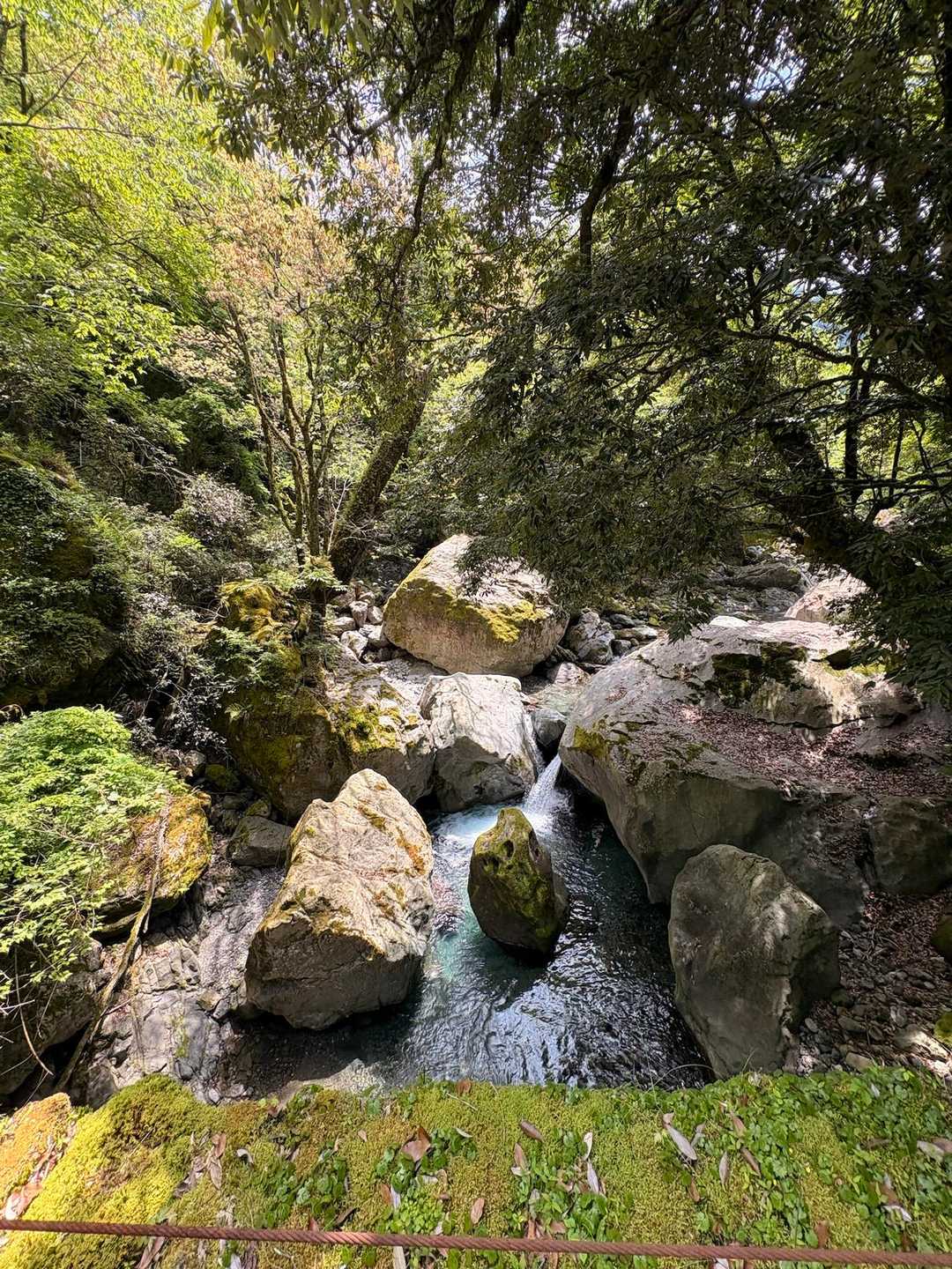 沢キレイ✨