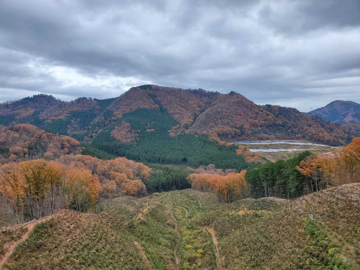 長倉山-鞍掛山-シゲト山-猪倉峠 周回コースの写真