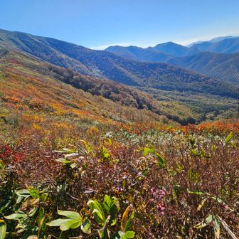 山肌の紅葉が綺麗🍂