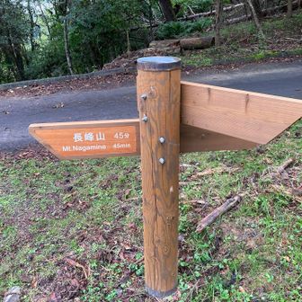 長峰山へは、舗装路と並行した登山道。