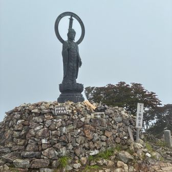 釈迦岳の前後笹が伸びてて藪漕ぎ状態。雨と相まってペースダウン。
