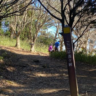 雨が峠にでました。ここは、六甲山山頂に向かうととや道にあり、広場もベンチもあるので休憩されてる人が多数います
