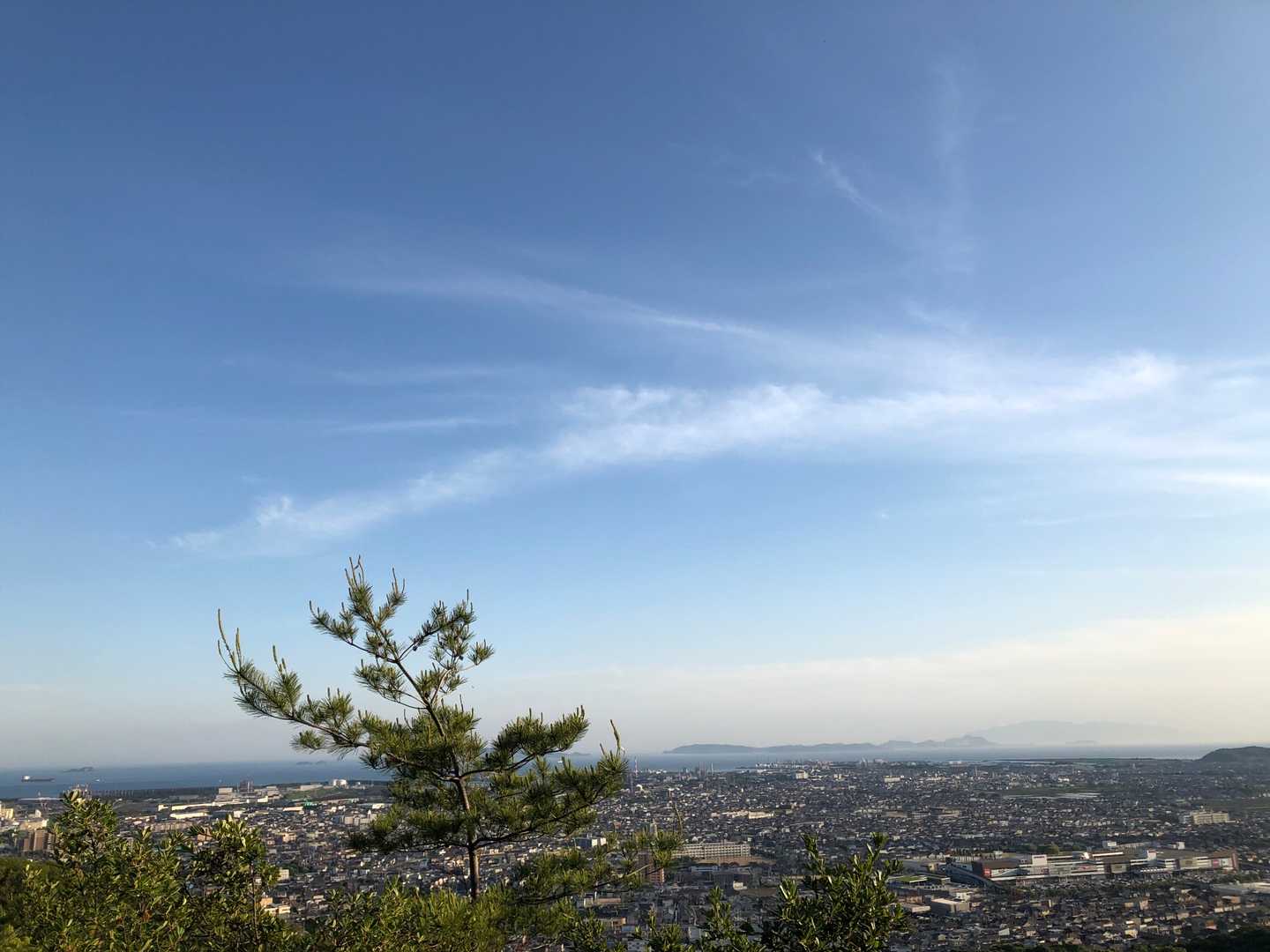 京見山-トンガリ山-才登山口 縦走コースの写真