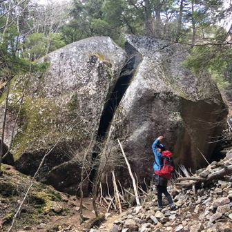 ありす。受験終了📝