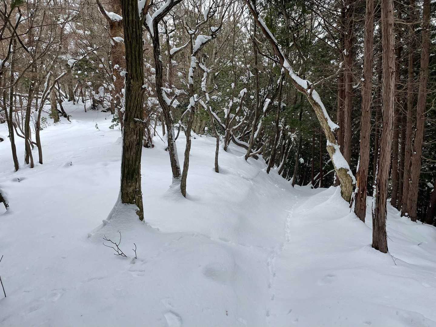 雪が締まっているので踏み抜きもなくチェーンスパイクの出番もありません。
