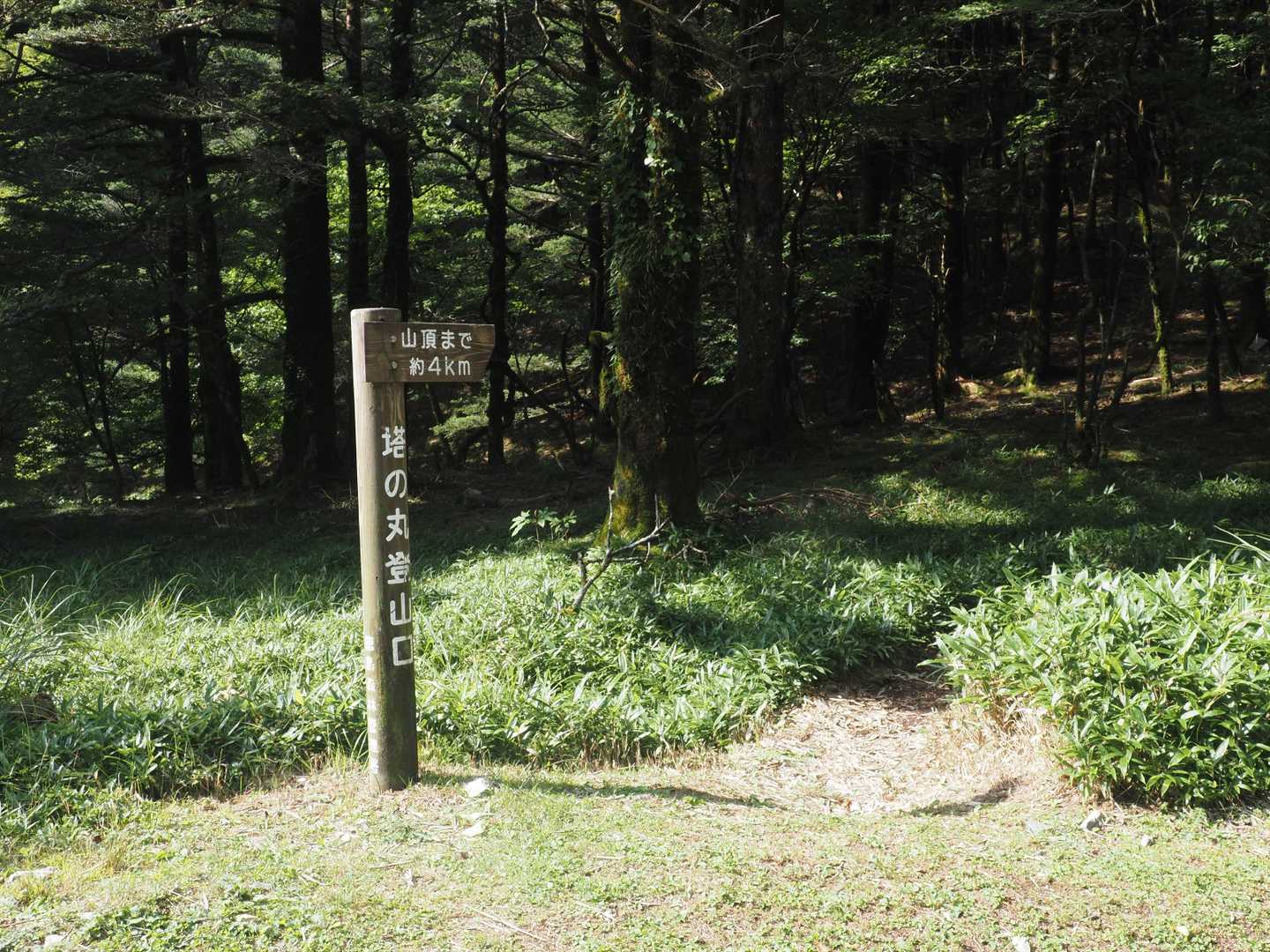登山口