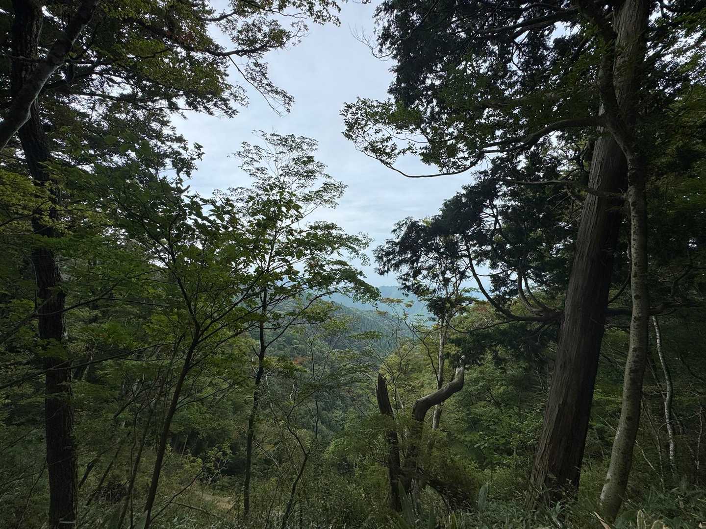 15. 金剛山の写真