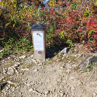 復路の明神峠