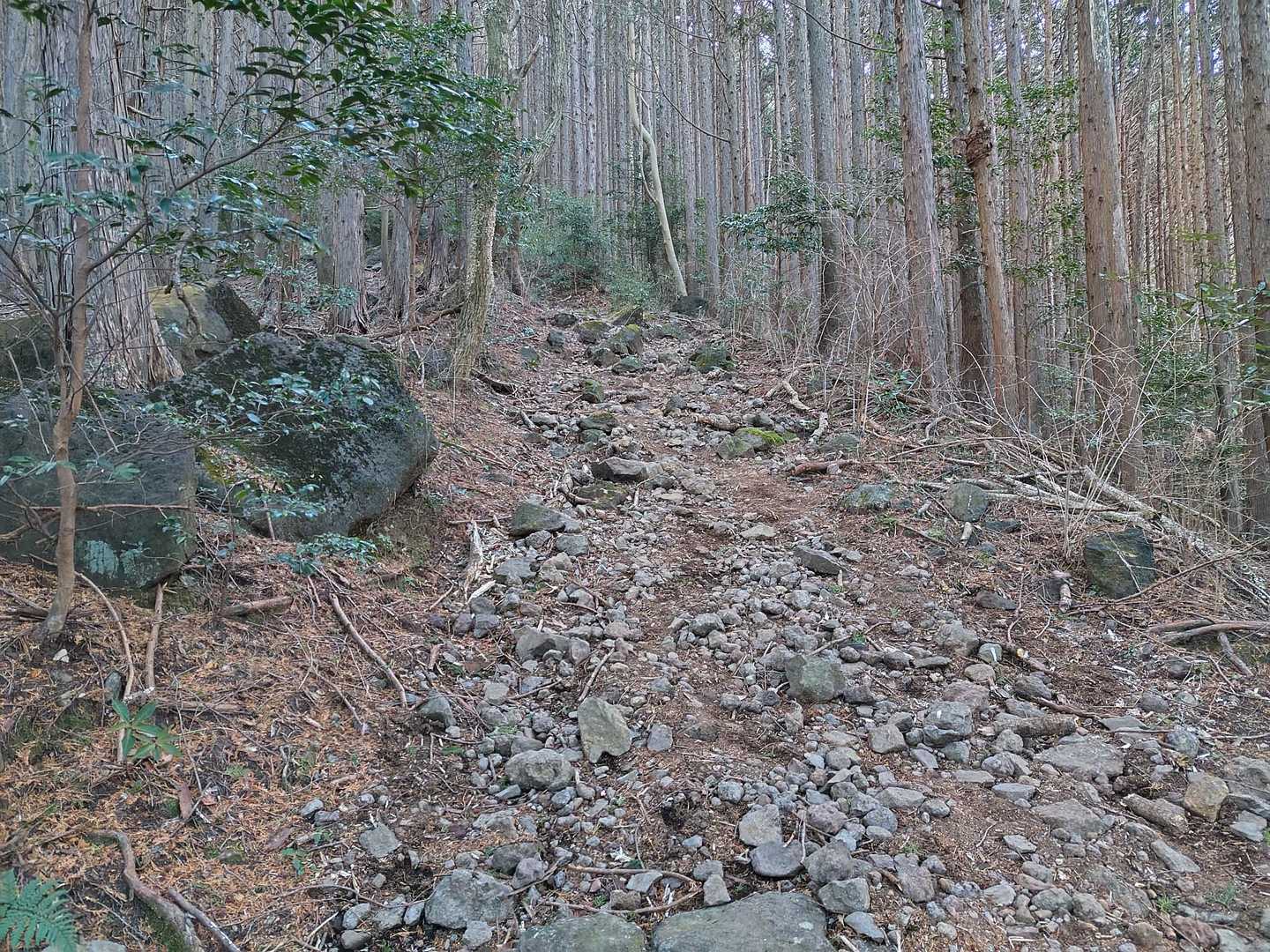 岩岩や