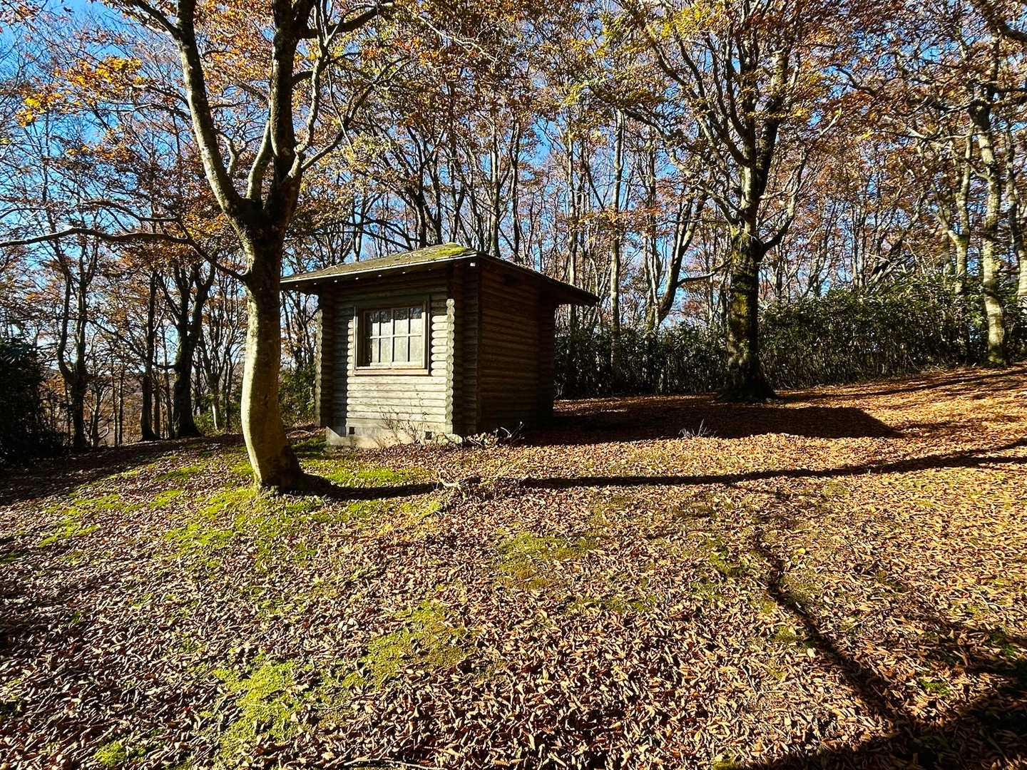 着いた着いた‼️すずのこオーレン小屋🛖😂
今日はここで小屋泊するつもり👍

ん？小っさくね？　や〜めた🤣🤣