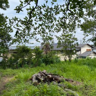 山頂と二階建て住宅の高さがほぼ同じ
