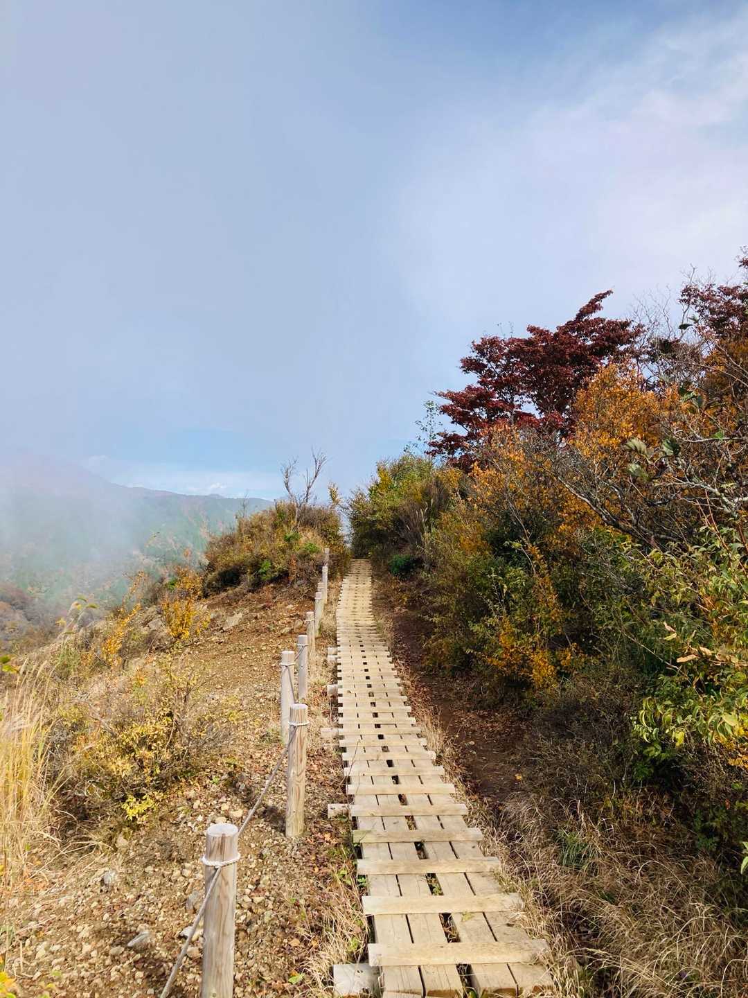 三ノ塔-烏尾山-行者ヶ岳-木ノ又大日-塔ノ岳-小丸-鍋割山 縦走コースの写真