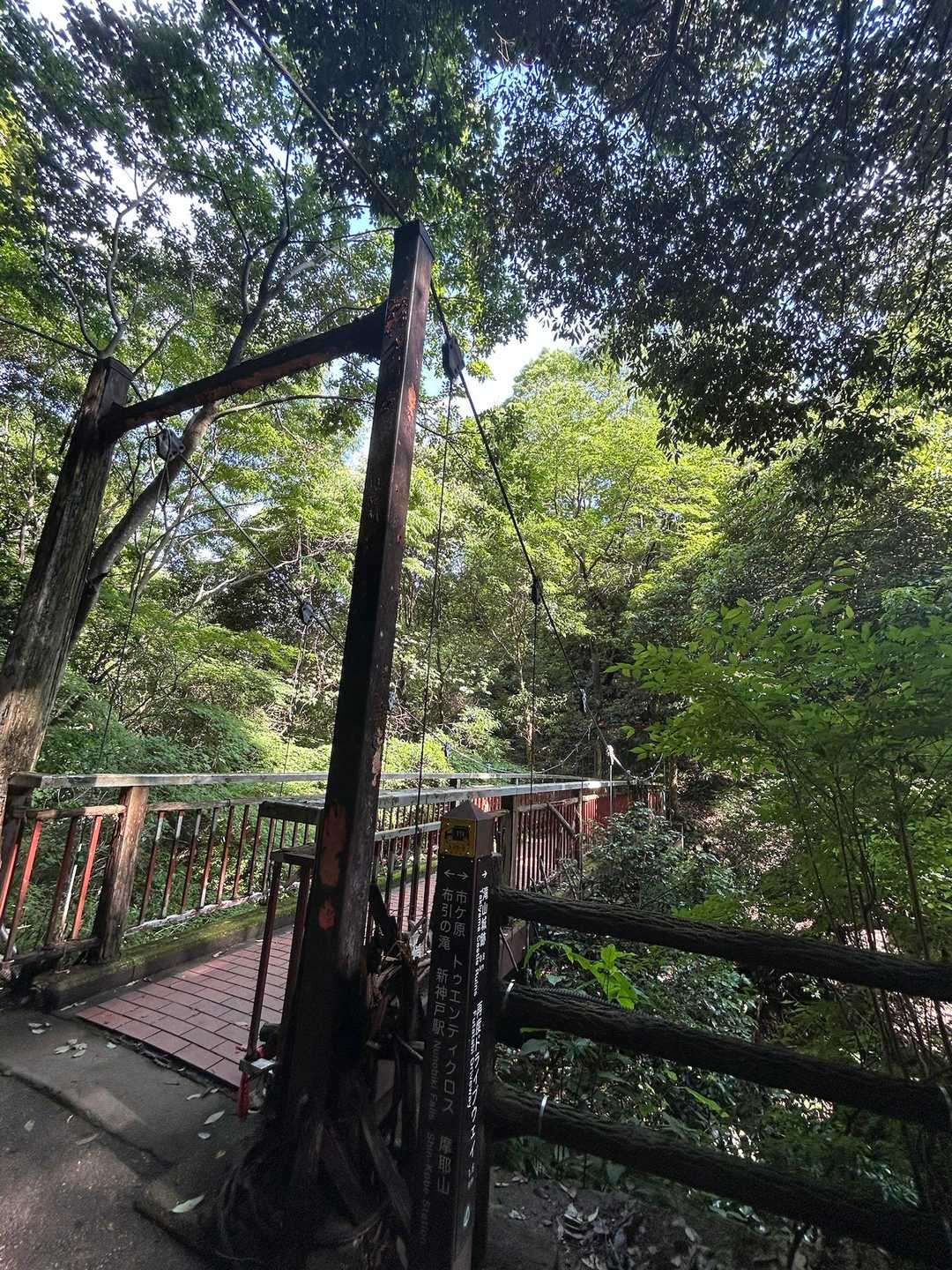 猿のかずら橋、帰りはちゃんとあった
なんでこんなに大きな物を見逃したんだろ🤔