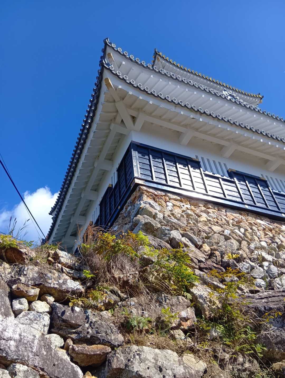 天守を望む