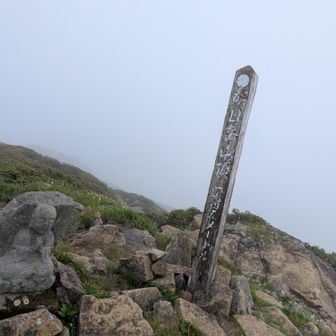 いつもよりペース上がらないし
めっちゃ足止まっちゃうし
これもう撤退しようかなと5分くらい悩む
戻るのに8キロ、進むと16キロ
下山、ロープウェイにすればええやん💡
て事で進むを選択