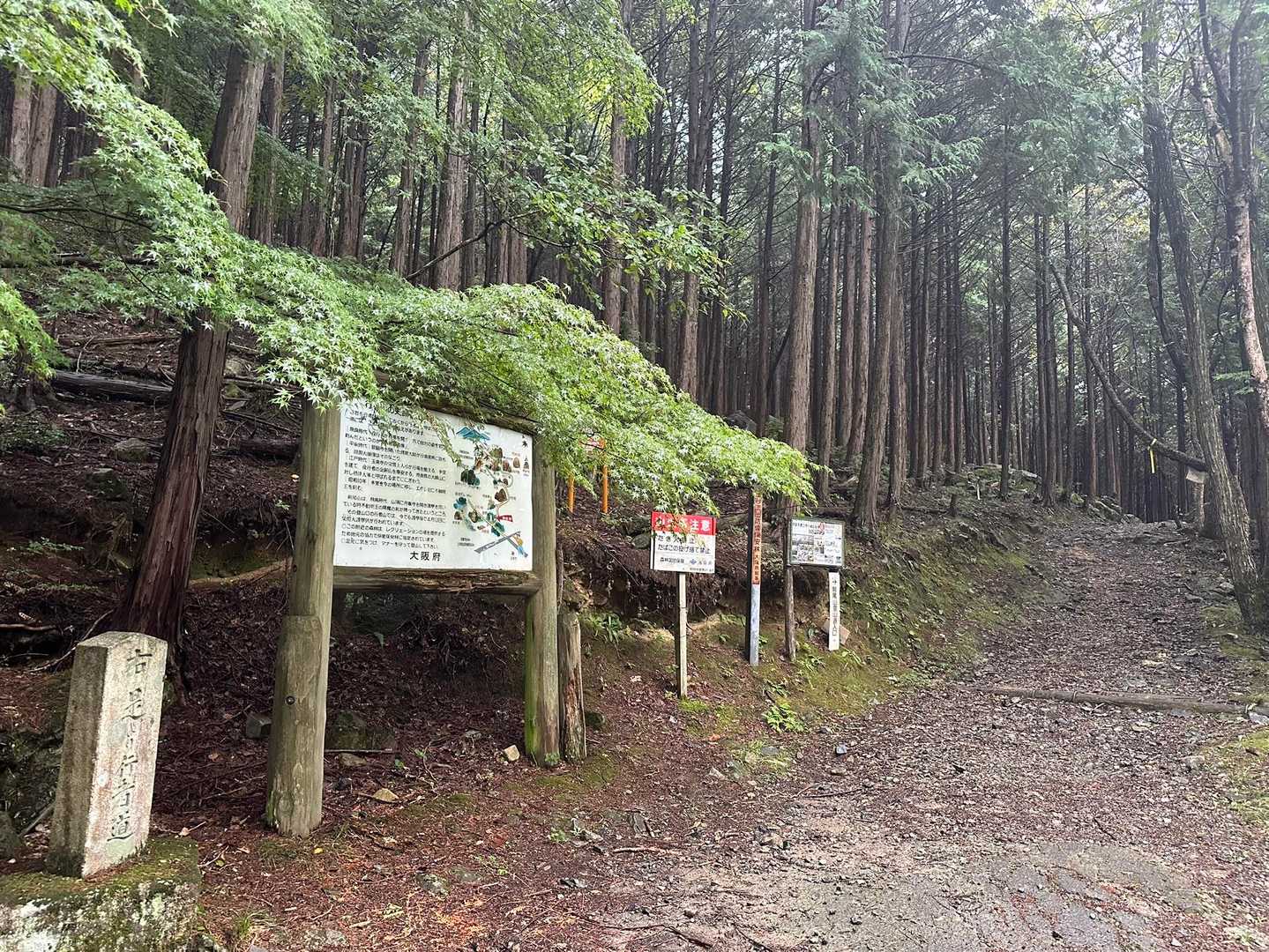 まずは行者山