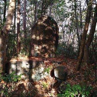 なんか昔の字で読めなかったので調べたら峠があったと記した碑らしいです