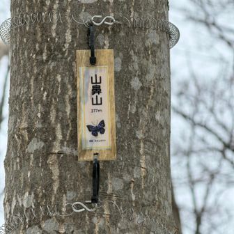 ずっと思ってる事。
山鼻山の標識は何でこんなに小さいのでしょう🤔