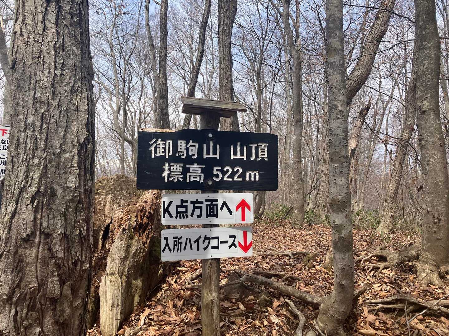 やったー。