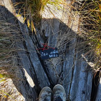 靴をみればわかるかな
沼地なので登山道がぬかるんでるうえに、ずっと雨模様なので沢のように水が流れていました