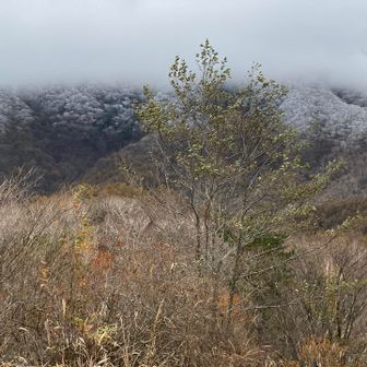 黒檜山は半分から白