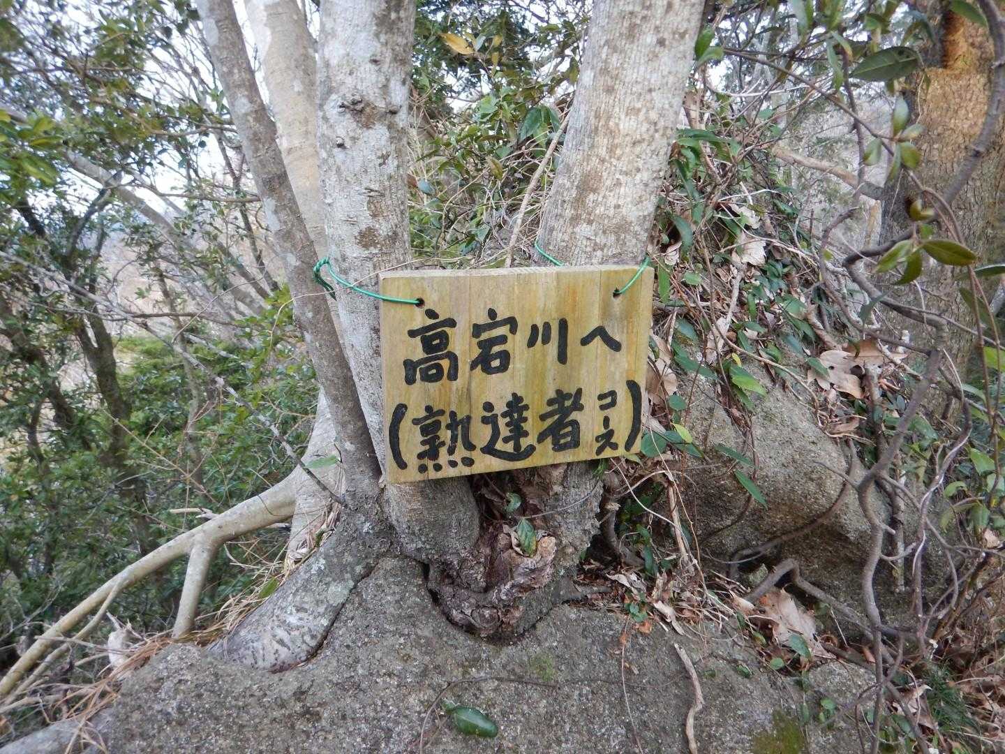 ｢熟達者コース｣の降り口