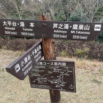 もう少しで鷹巣山