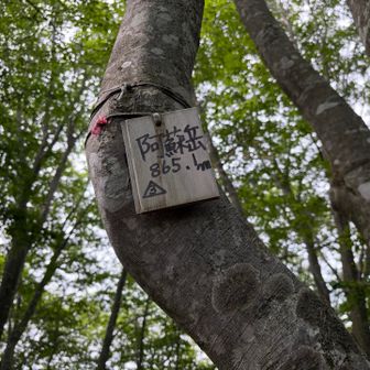 阿蘇岳寄り道