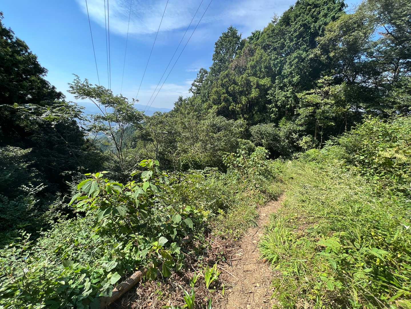 四方越過ぎたら、ちょっとだけ樹林帯から抜けます😁