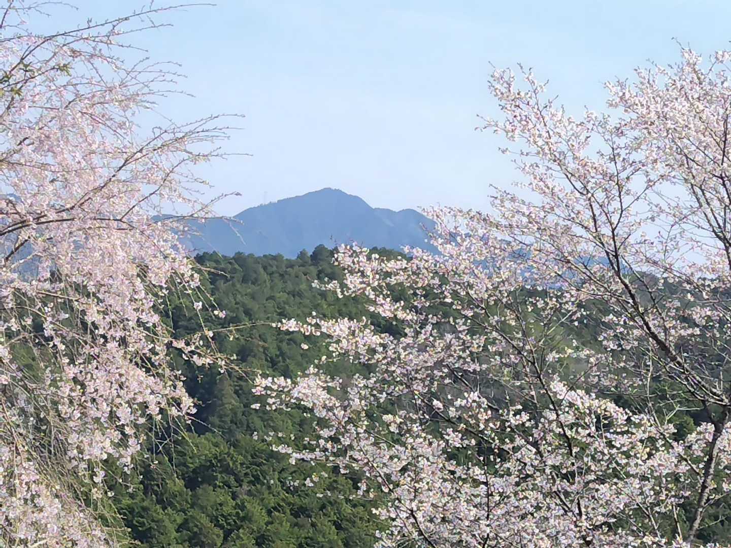 吉野駅-金峯山寺-韋駄天山-吉水神社-吉野水分神社-高城山 往復コースの写真
