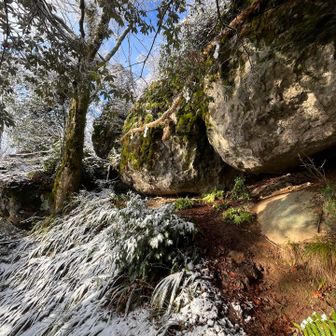 帰りは恒例の
胎内くぐりで締めます
