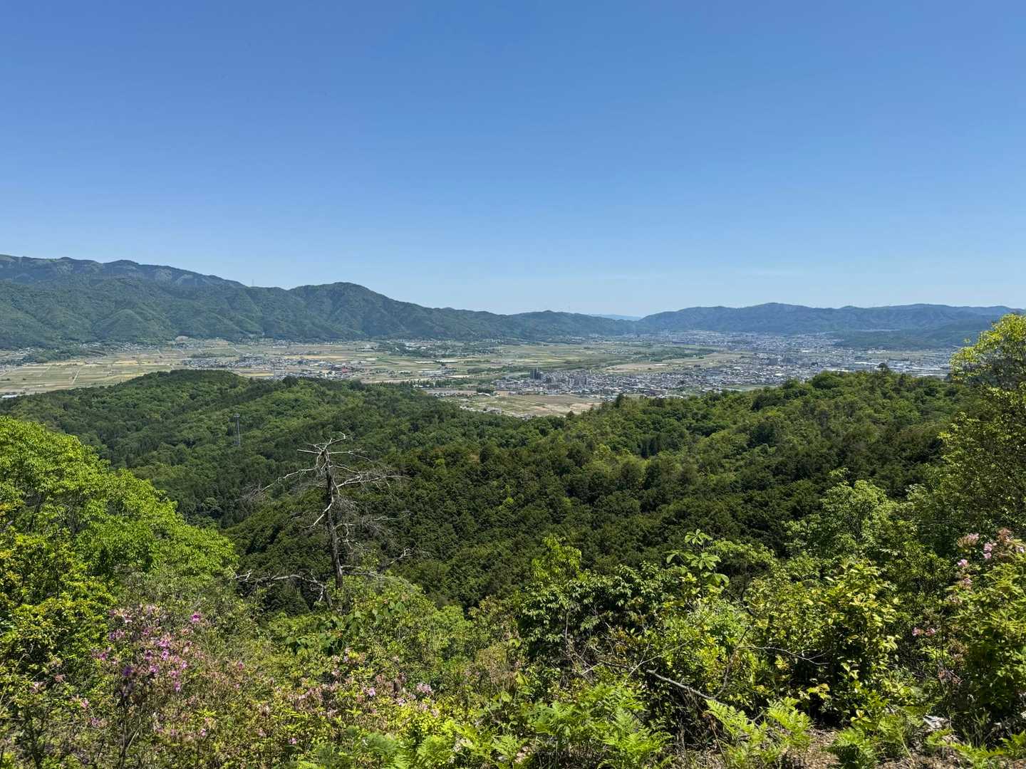 城山 往復コースの写真