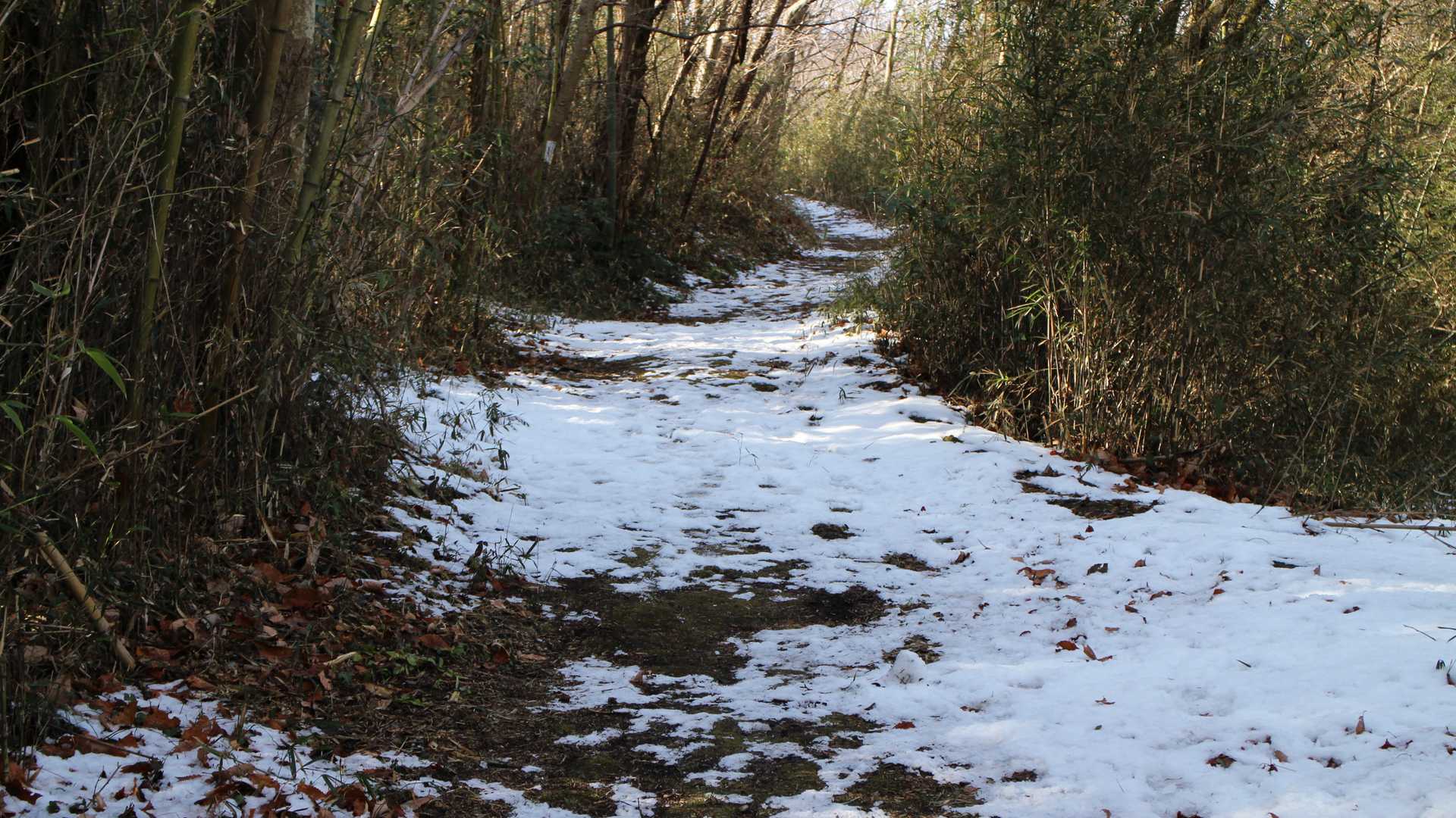 雪が少し残っていました。