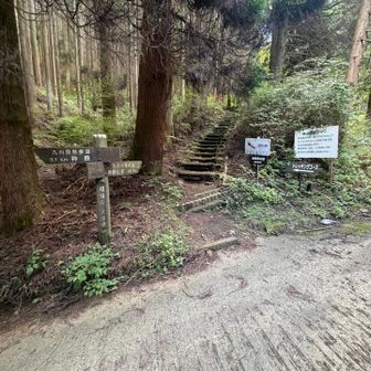 神原登山口に到着。駐車場まであと僅か。