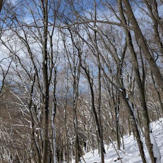 登山口に向かう