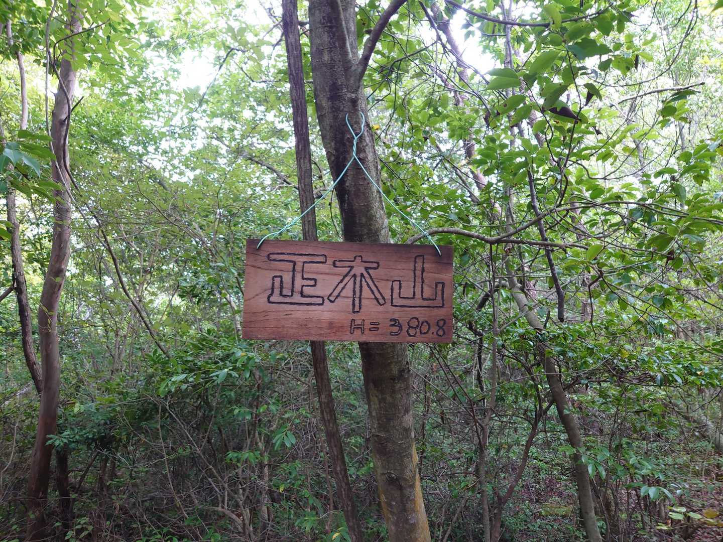 城山・正木山 往復コースの写真