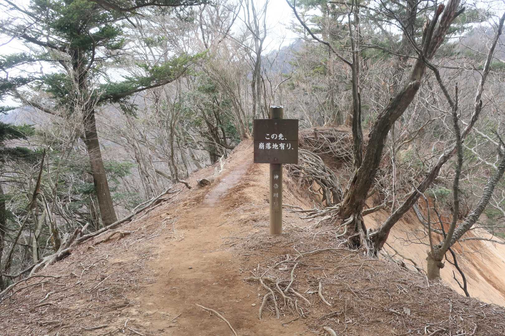 はい、気を付けます。
注意喚起の看板がありがたい。