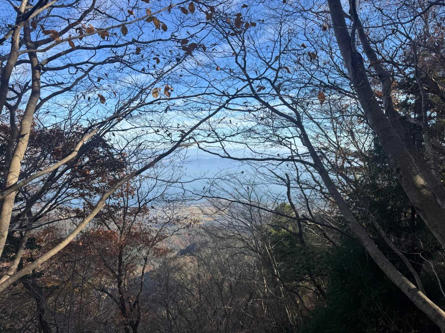 途中に琵琶湖と大津市の街並みが
見えるポイントがありましたが
あいにく木の枝で〝絶景〟とはいかず…