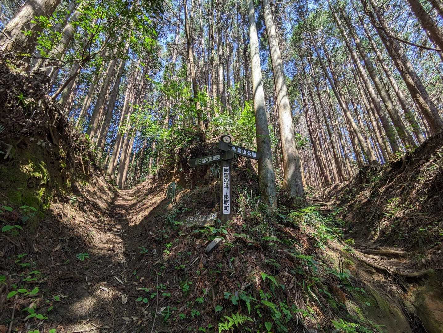 YAMAPでは山道、ヤマレコでは林道が登録できるルート。
山道登りたいのでYAMAPのルートを採用☝️
ちなみに合流出来るのでどっちを選択しても良いみたい♪