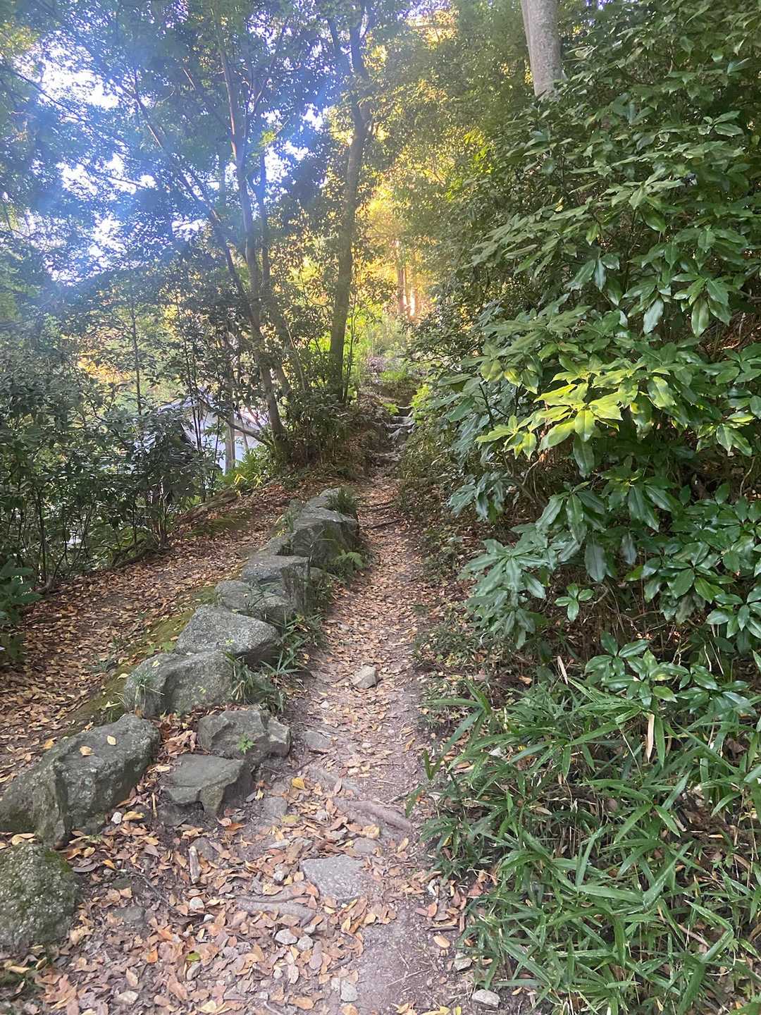 明るくて景色最高🙌