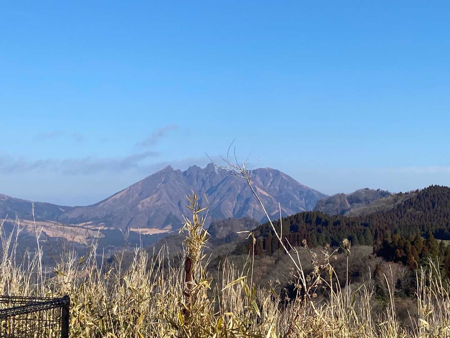 御成山の写真