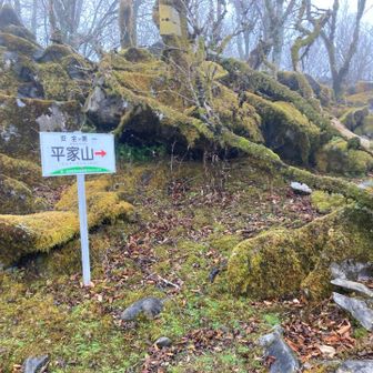展望所へ向かいます。
展望所でカップ麺を食べる際にココヘリを忘れてきていることに気づきました。
無事に帰りつけるのか不安です。
雨は止まないし、冷えてきたので再度フリースに着替え、レインウェア（上下）を着用しました。