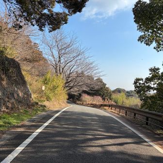 愛宕神社から眺望満喫コースへ向かいます🚶‍➡️🚶‍♀️‍➡️