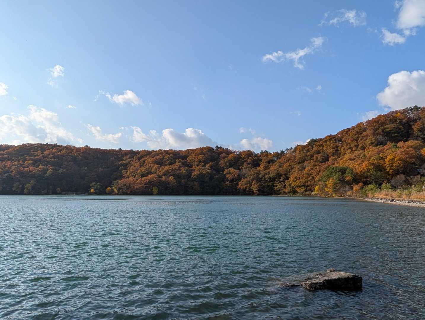 この景色を独り占めしています😆