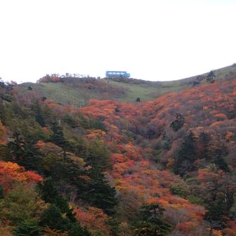 帰りに野営場から見上げて