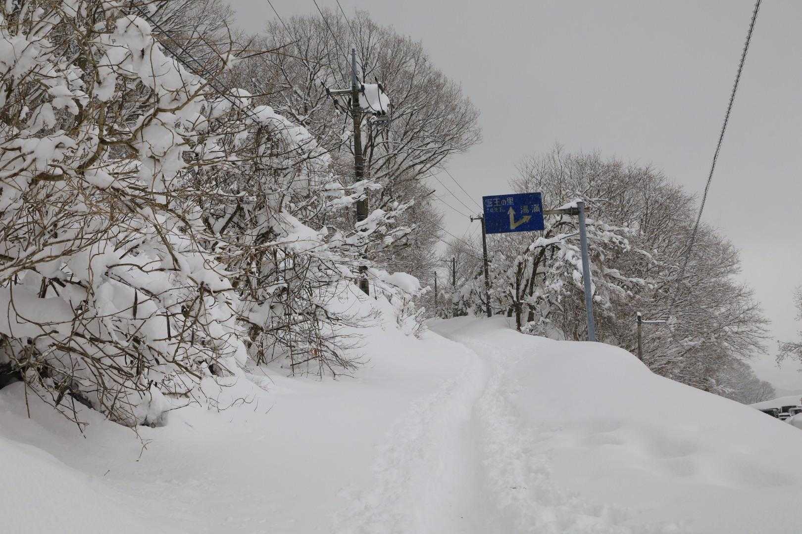 見上峠-白兀山 往復コースの写真