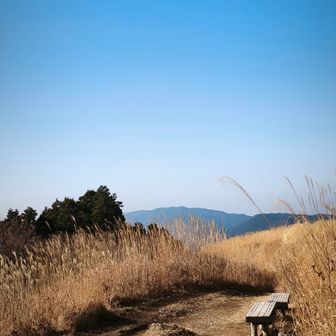 ベンチがある
なんかこの雰囲気好きだな〜