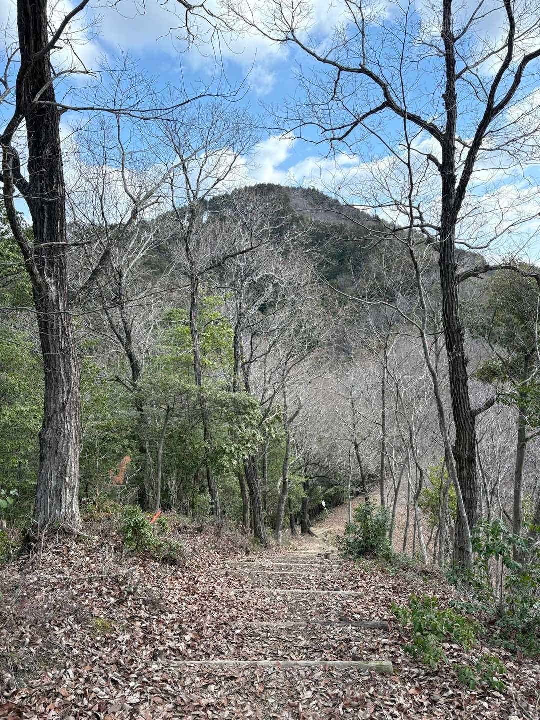 正面が祐向山かな？
と思いましたが、