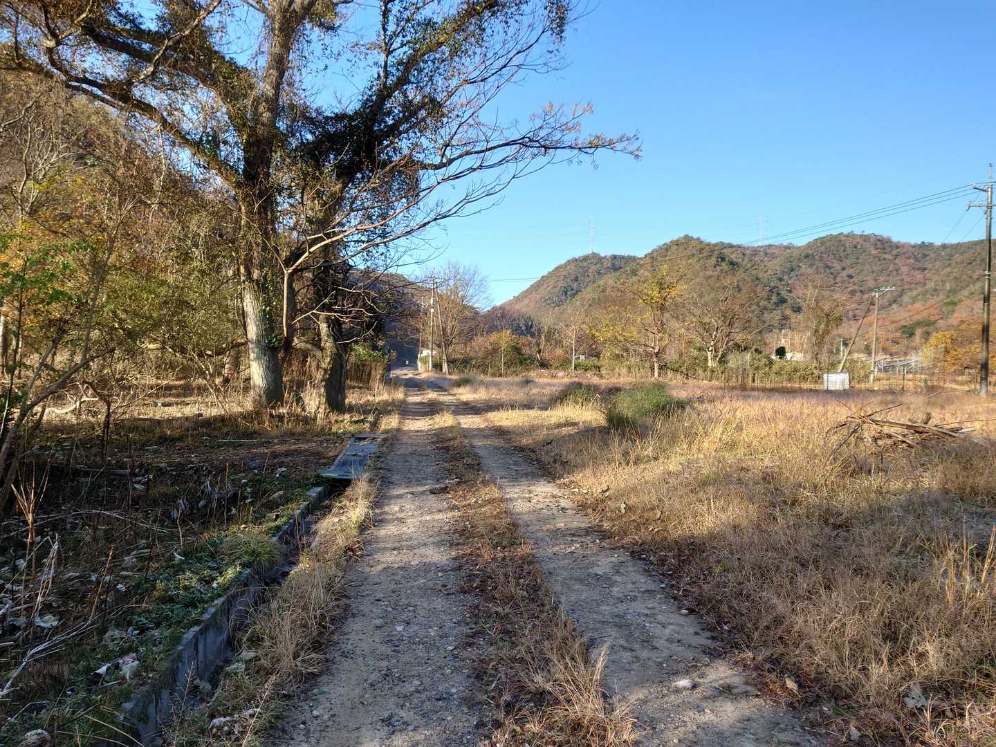 外国山 周回コースの写真
